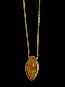 9 carat gold and amber pendant, and 9 carat necklace.
