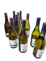 Ten bottles of white wine including Les Caillottes Sancerre 2021, Burgundy Macon-Villages 2020, etc.