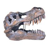 Composite dinosaur skull head, 37cm high.