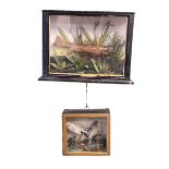 Two cased taxidermies of trout and birds on foliage.