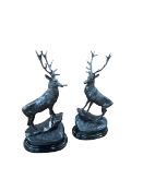 Pair of large bronze stags each on rocky outcrop mounted on marble bases, 76cm high.