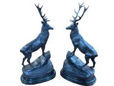 Pair of impressive bronze stags standing on rocky outcrop to marble base, 74cm.