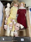 Collection of antique bisque dolls and bisque dolls heads including Heubach Koppelsdorf,