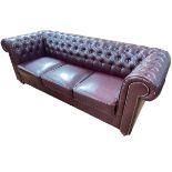 Ox blood deep buttoned and studded three seater Chesterfield settee, 76cm by 220cm by 86cm.