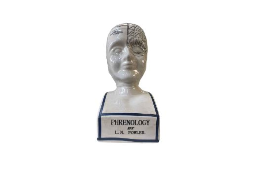 Reproduction L N Fowler phrenology head.