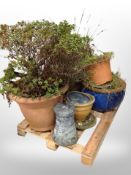 A pallet of garden pots