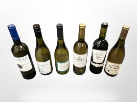 Six bottles of white wine - Campanula Pinot Grigio, Domaine Plan Du Roy, Warrior Bay etc.