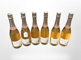 Six bottles of Due Colline Rose Spumante, 750 ml.