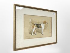 Frank Paton (British, 1856-1909) : Trouncer (A Foxhound), watercolour with pencil and bodycolour,