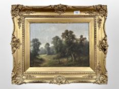 A Stone : Woodland landscape, oil on canvas, signed, 31 cm x 41 cm, framed.