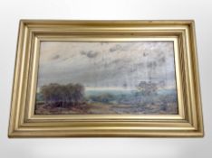 Nineteenth century School : Rural landscape, oil on canvas,