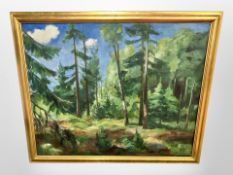 Danish School : A dense forest, oil on canvas, 123 cm x 100 cm.