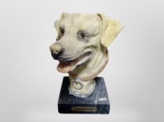 A resin bust of a golden labrador on a marble plinth, height 23cm.