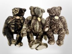 Three Charlie bears, Tommy, Percival, and Magic, with tags.