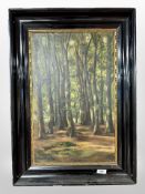 Hilda Gurnnet : Study of a forest, oil on canvas, 33cm x 53cm.