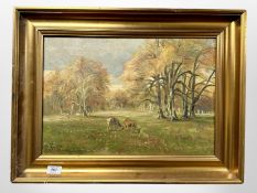 Danish School : Deer in woodland, oil on canvas, 47cm x 32cm.