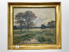 Danish School : Trees in farmland, oil on canvas, 49cm x 42cm.