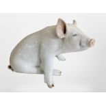 A Royal Copenhagen figure of a seated pig, length 23cm.