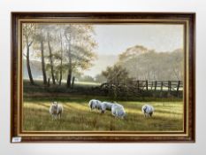 Paul James (born 1961) : Sheep grazing in a pasture, oil on canvas, 75cm x 50cm, signed, framed.