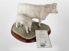 A Border Fine Arts figure, 'Charolais Cow and Calf', limited editon No.
