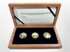 Mint of Norway - Mandela Presidential set, limited edition three coin set, each coin 24ct gold 7.