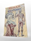A large coffee table volume, 'Human Anatomy' published by Taj Books, 2006.