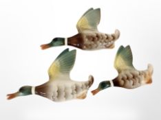 Three graduated ceramic flying ducks,