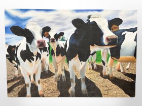 Contemporary school : Dairy cows, oil on canvas, 77cm x 112cm (unframed).