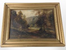 George Willis Pryce (British, 1866-1949) : Dove Dale, oil on canvas, 20cm x 30cm.