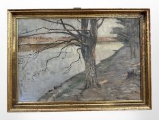 Danish school : A tree by a canal, oil on canvas, 42cm x 28cm.