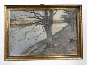 Danish school : A tree by a canal, oil on canvas, 42cm x 28cm.