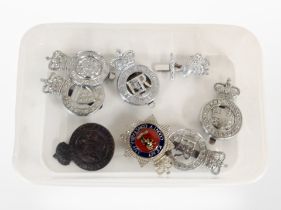 A group of police cap badges.