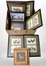 A box of antique and later pictures and prints, engravings of the Durham Ox,