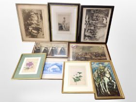 A group of antiquarian and later pictures and prints - botanical studies,