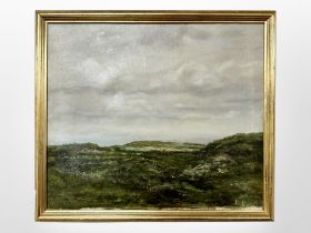 Danish school : Moorland, oil on canvas, 42cm x 36cm.