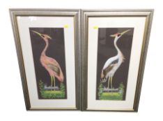 Contemporary school : Herons, mixed media with feathers, watercolour and collage, each 55cm x 22cm.