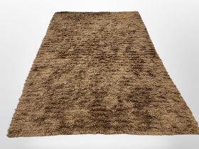 A shaggy-piled carpet,
