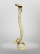 A taxidermy cobra, height 61cm.