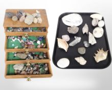 A pine four-drawer collector's chest containing a large quantity of geology specimens,