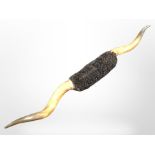A very large pair of cow horns, length 206cm.