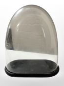 A Victorian glass dome on ebonised stand, overall height 38cm.