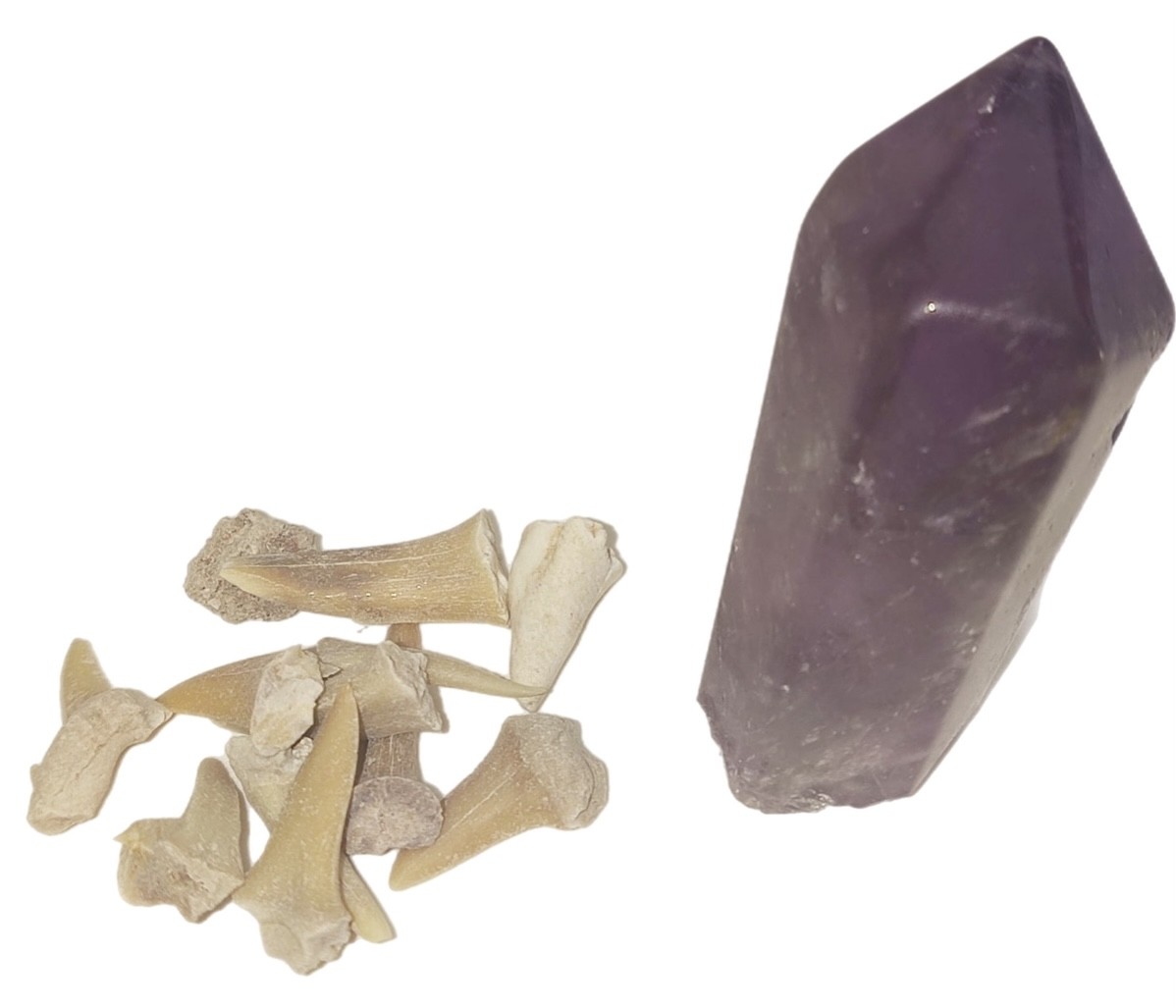 An Amethyst crystal and shark tooth from Morocco