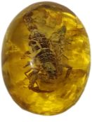 A scorpion in amber coloured resin
