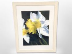Michelle Milburn (Contemporary) : Narcissus, pastel on watercolour paper,