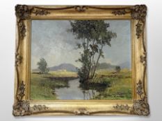 20th century school : Trees in marshland, oil on canvas,