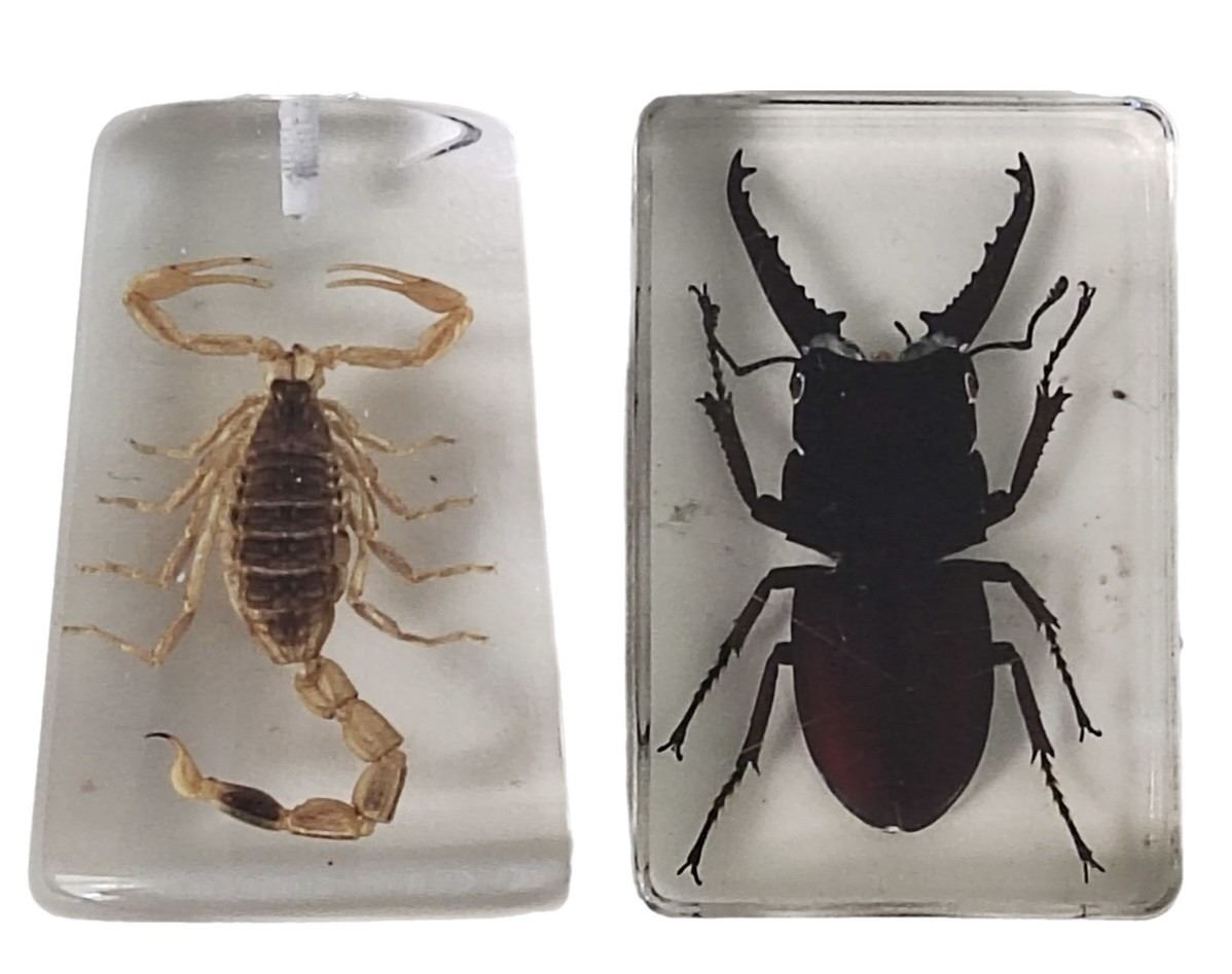 A group of Hang Ten eau de toilette samples, Scorpion key ring, - Image 2 of 2