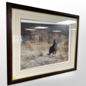 After Steven Townsend : Labrador, limited edition colour print, signed in pencil,