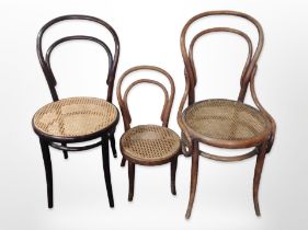 Three bentwood chairs