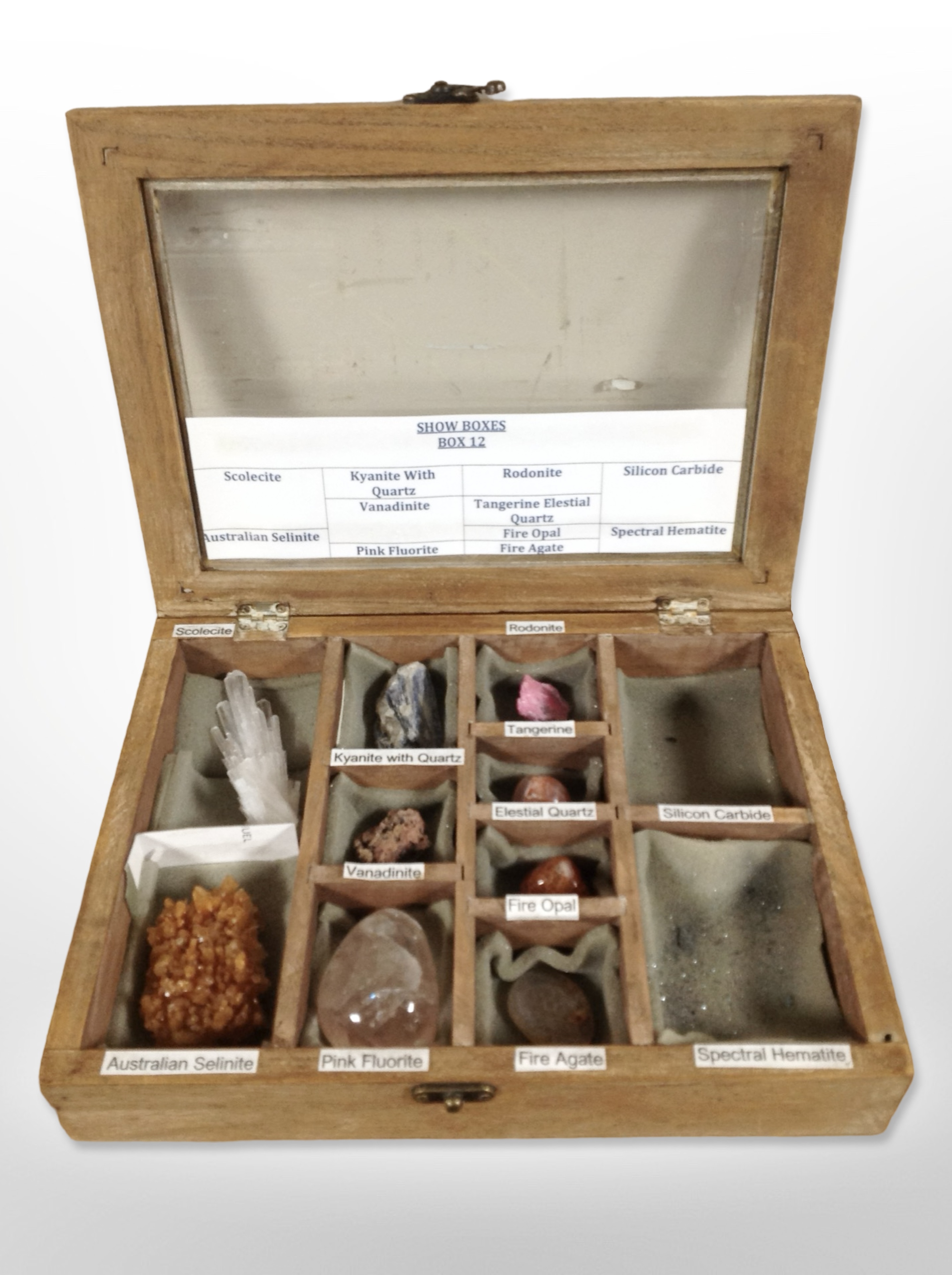 A glazed collector's case containing geology and crystal specimens, 30cm wide.