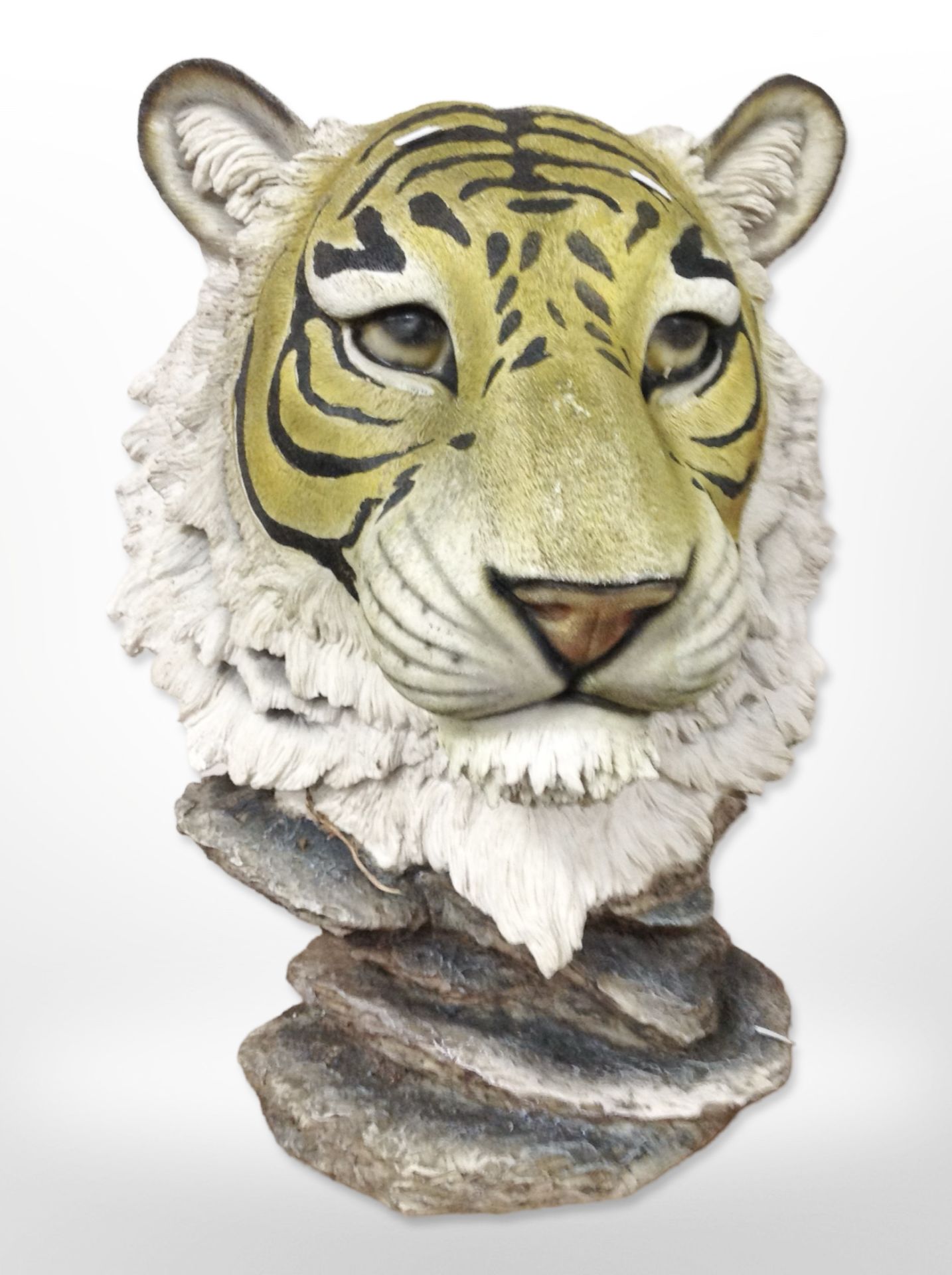 A large case resin bust of a tiger head,